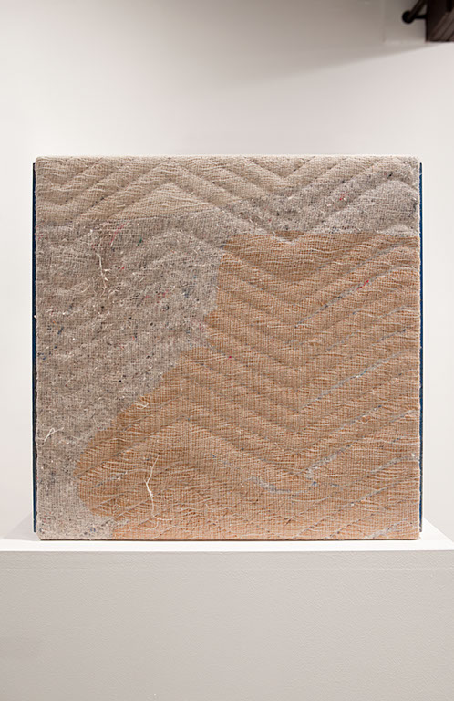 Thomas DeMello, Texture Fields, 2010